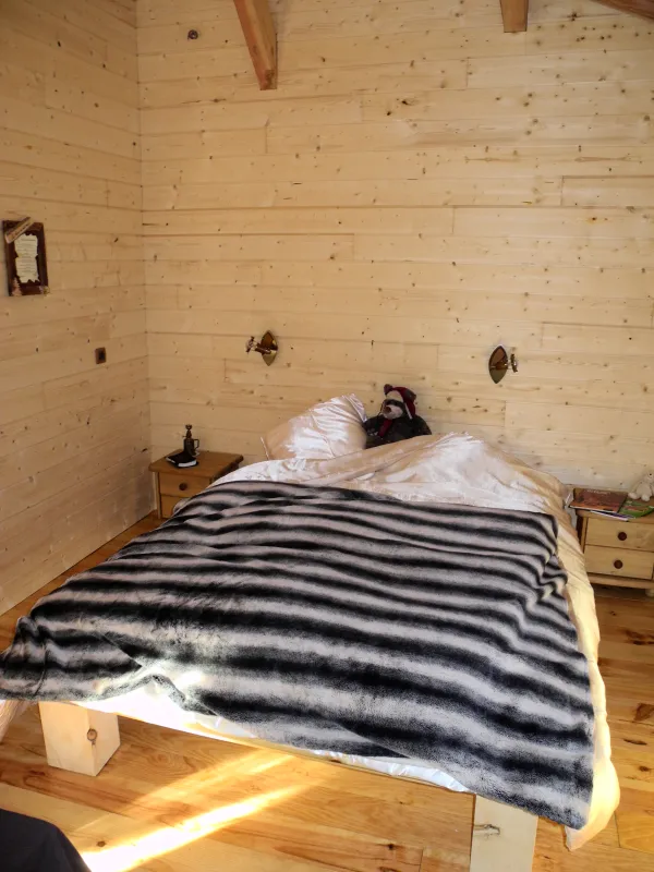 la_cabane_dans_les_arbres