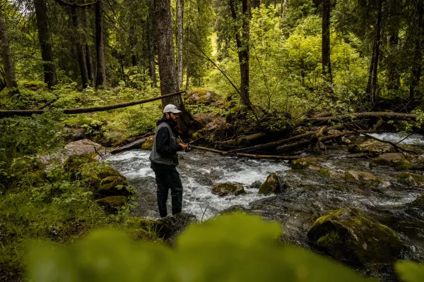 Pêche en rivière de la Dranse