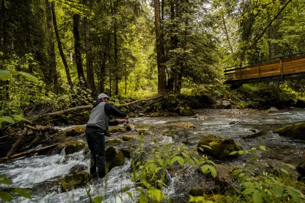 Pêche en rivière de la Dranse
