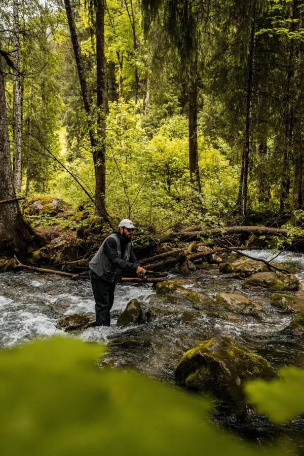 Pêche en rivière de la Dranse