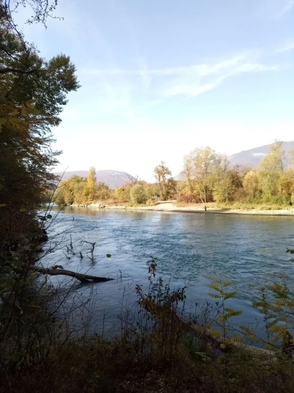 Pêche dans le Rhône