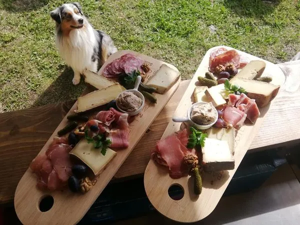 snack chien