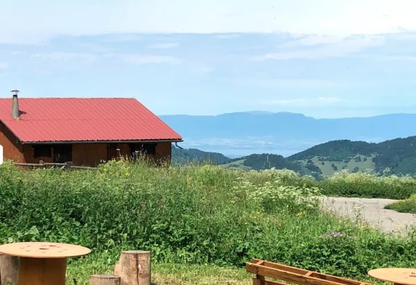 vue