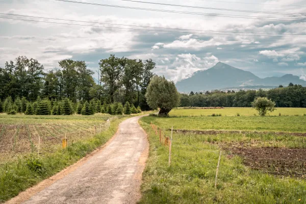 Plateau de Loëx_Bonne