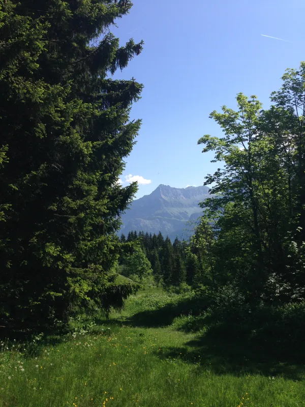L'alpage de Mayères