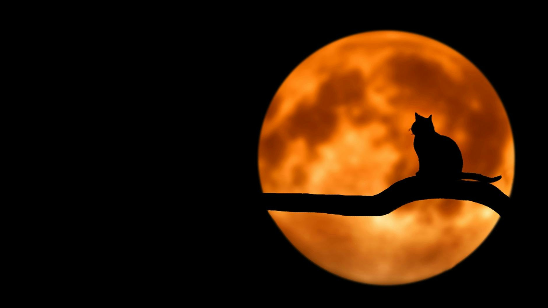 Halloween_Marignier