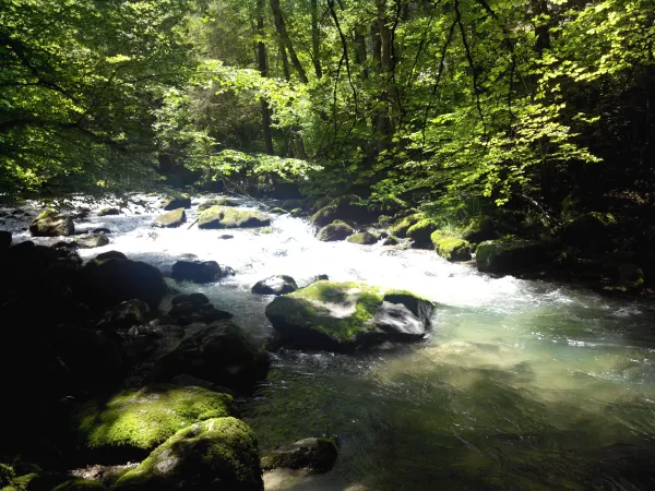 Rivière le Brevon