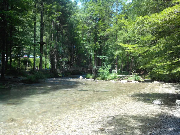 rives du Brevon à Bellevaux