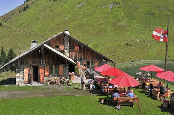 le refuge.jpg