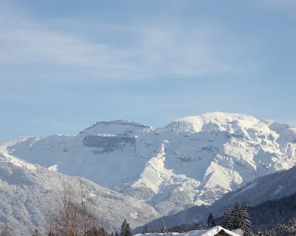 L'Edelweiss