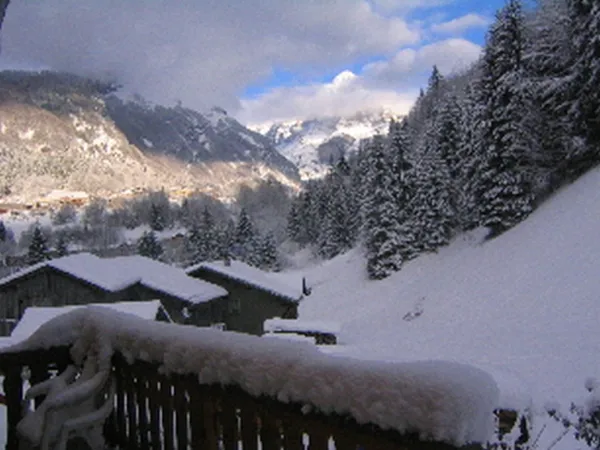 Chalet le Vivier