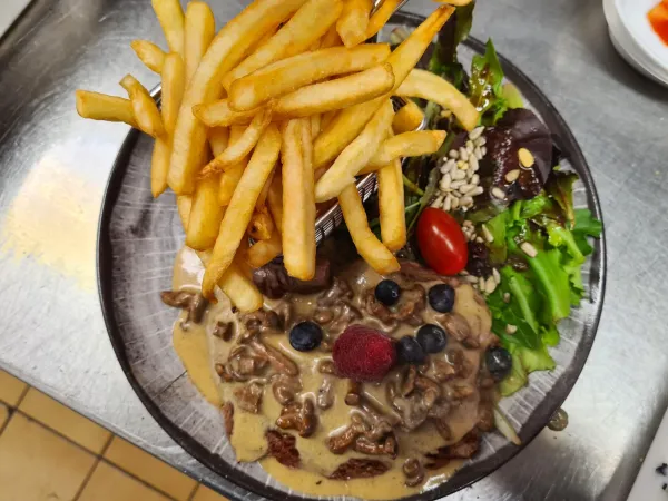 Plat de viande en sauce avec frites et salades