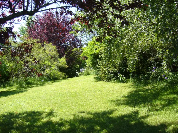 jardin
