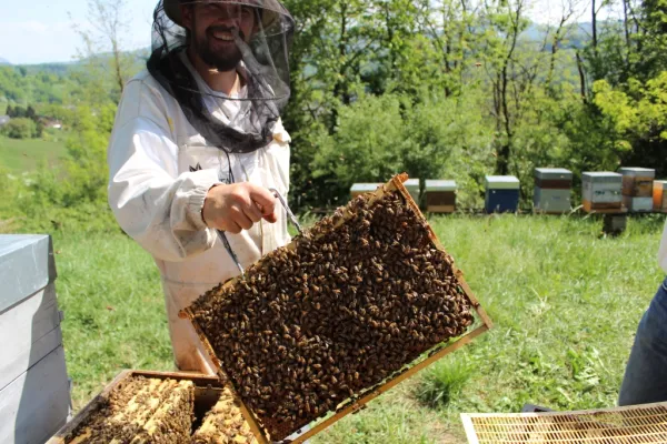 Secrets d'Abeilles