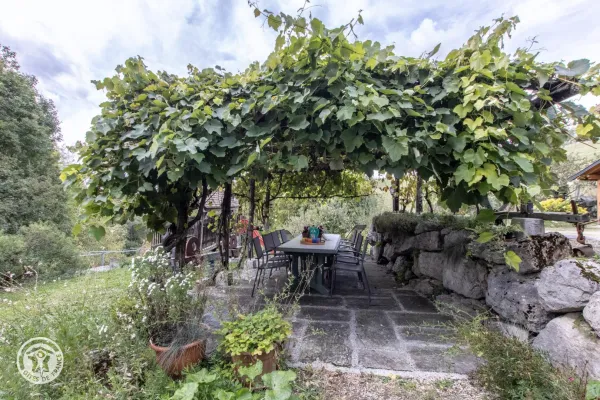 Espace extérieur du gîte