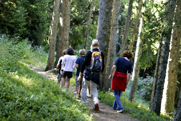 Sentier découverte forestière