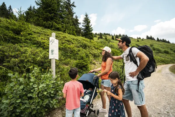 Sentier des oiseaux