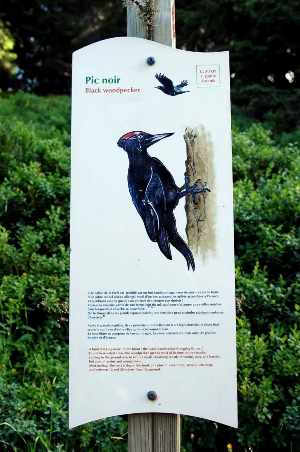 Sentier des oiseaux Châtel