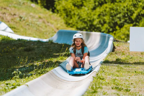 Luge d'été