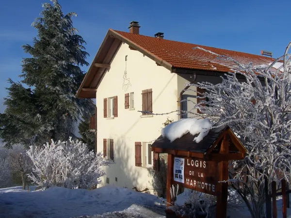 le_logis_de_la_marmotte_valleeverte
