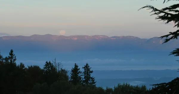 le Logis de la Marmotte Vallée Verte
