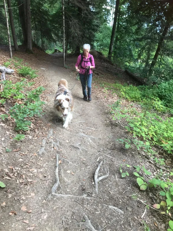 piste chemin de Mayere