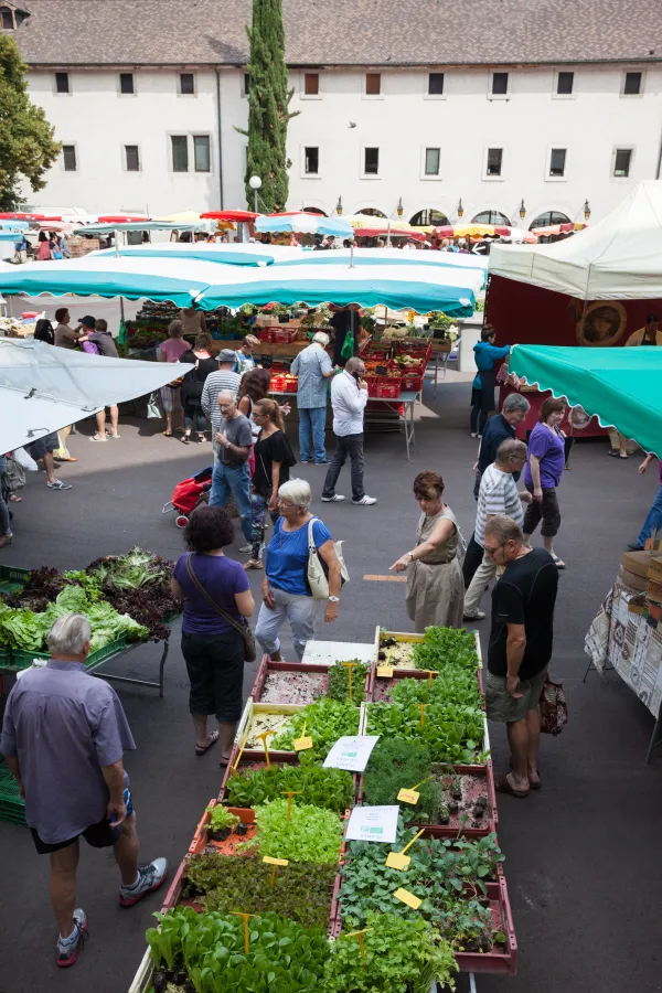 Photo marché
