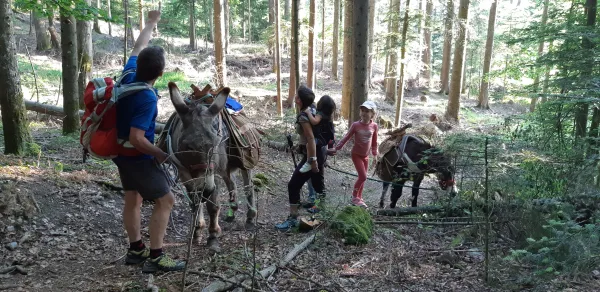 Nos circuits familles avec les ânes
