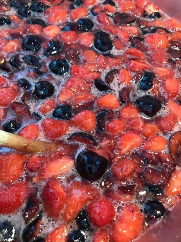 Nama confiture