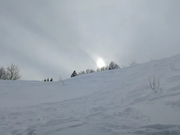 Techniques de survie