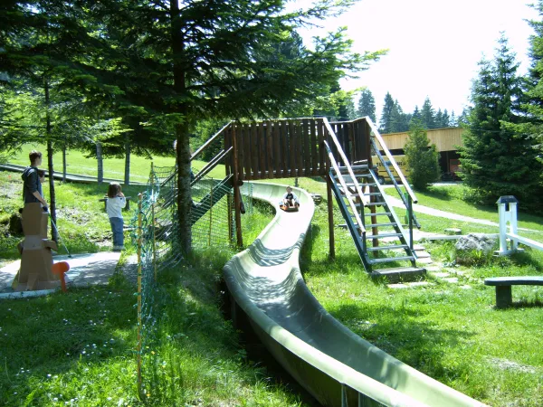 Enfants à la luge d'été d'Orange Montisel