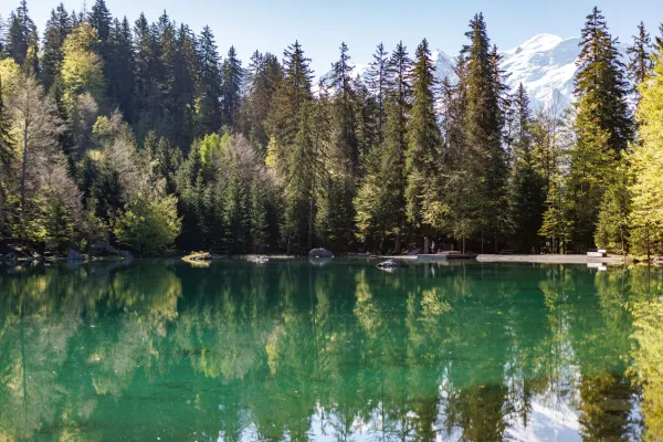 Lac Vert
