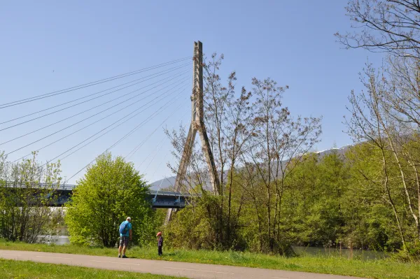Pont à haubans