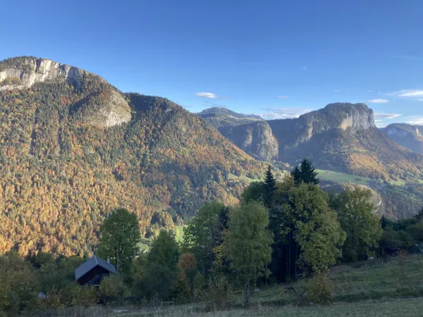 Meublé Bellevaux
