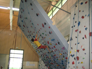 Mur escalade inclinable Passy