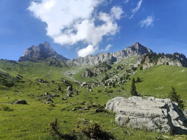 Varan depuis le Coudray_Passy