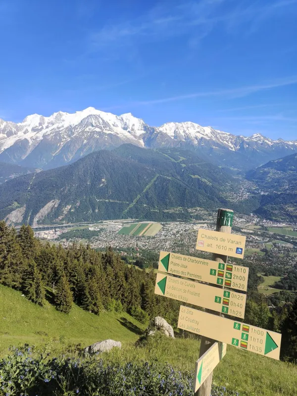 Varan depuis le Coudray_Passy