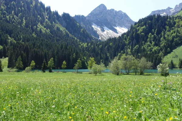 Vue de la Pointe de la Chavache depuis le lac des Plagnes