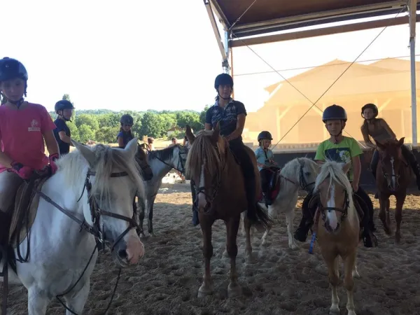 Pony park