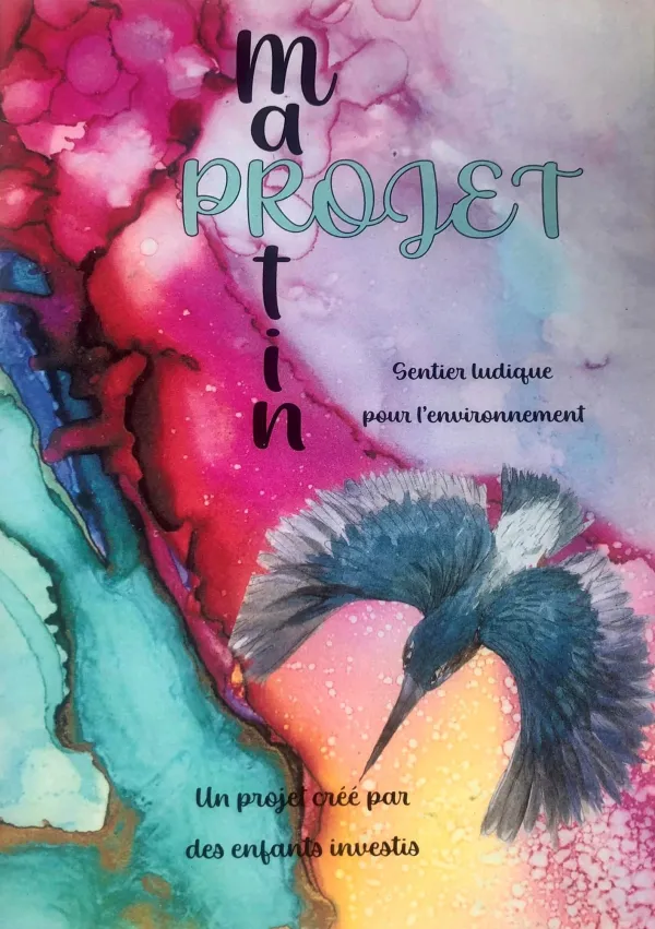 Projet Martin