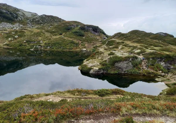 Anterne