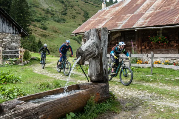 Randonnées VTT/VTT électrique "découverte"