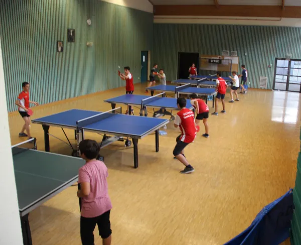 tennis de table 4