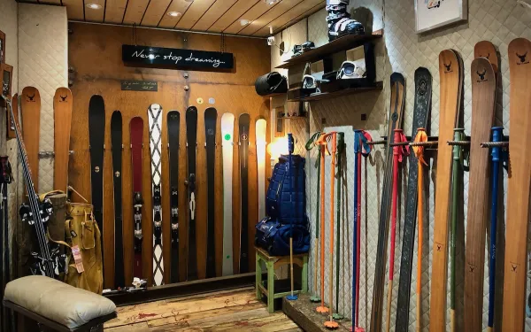 Ski Concept
