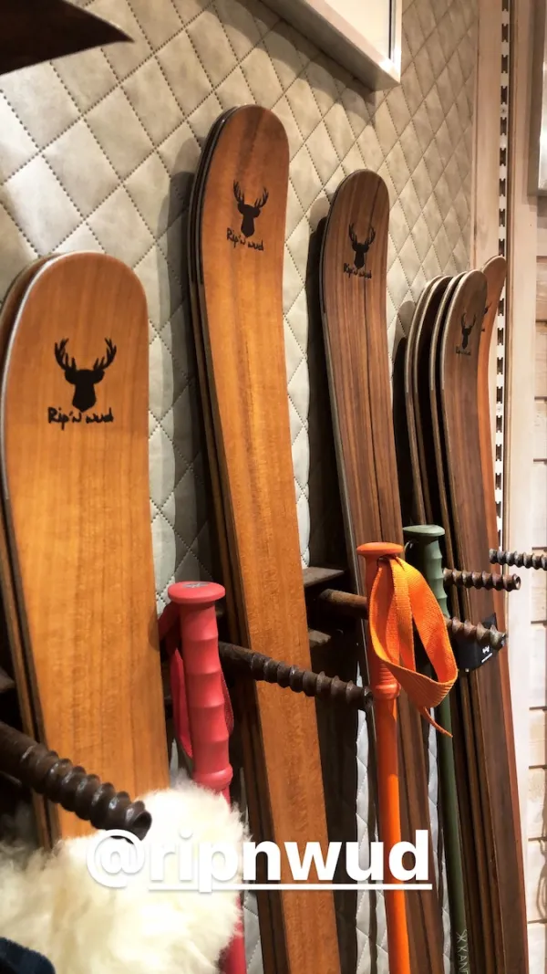 Ski Concept