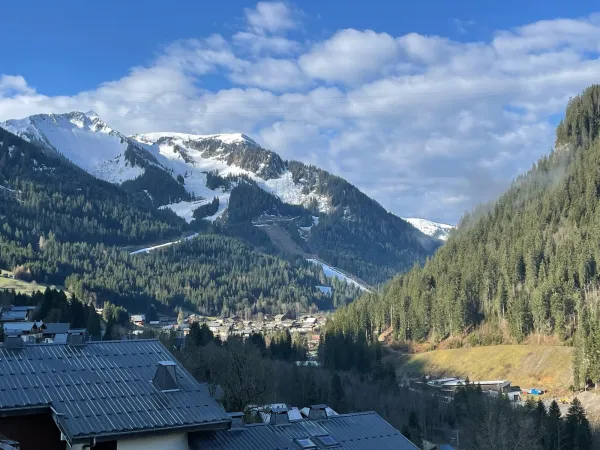 Vue du balcon au printemps