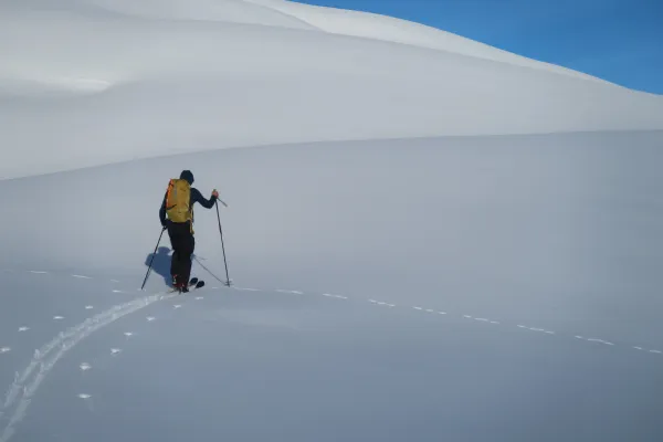 Activité ski de randonnée