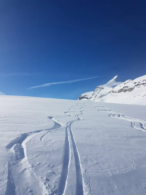 Activité ski de randonnée