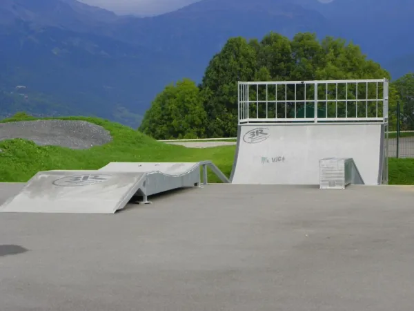 Skate board