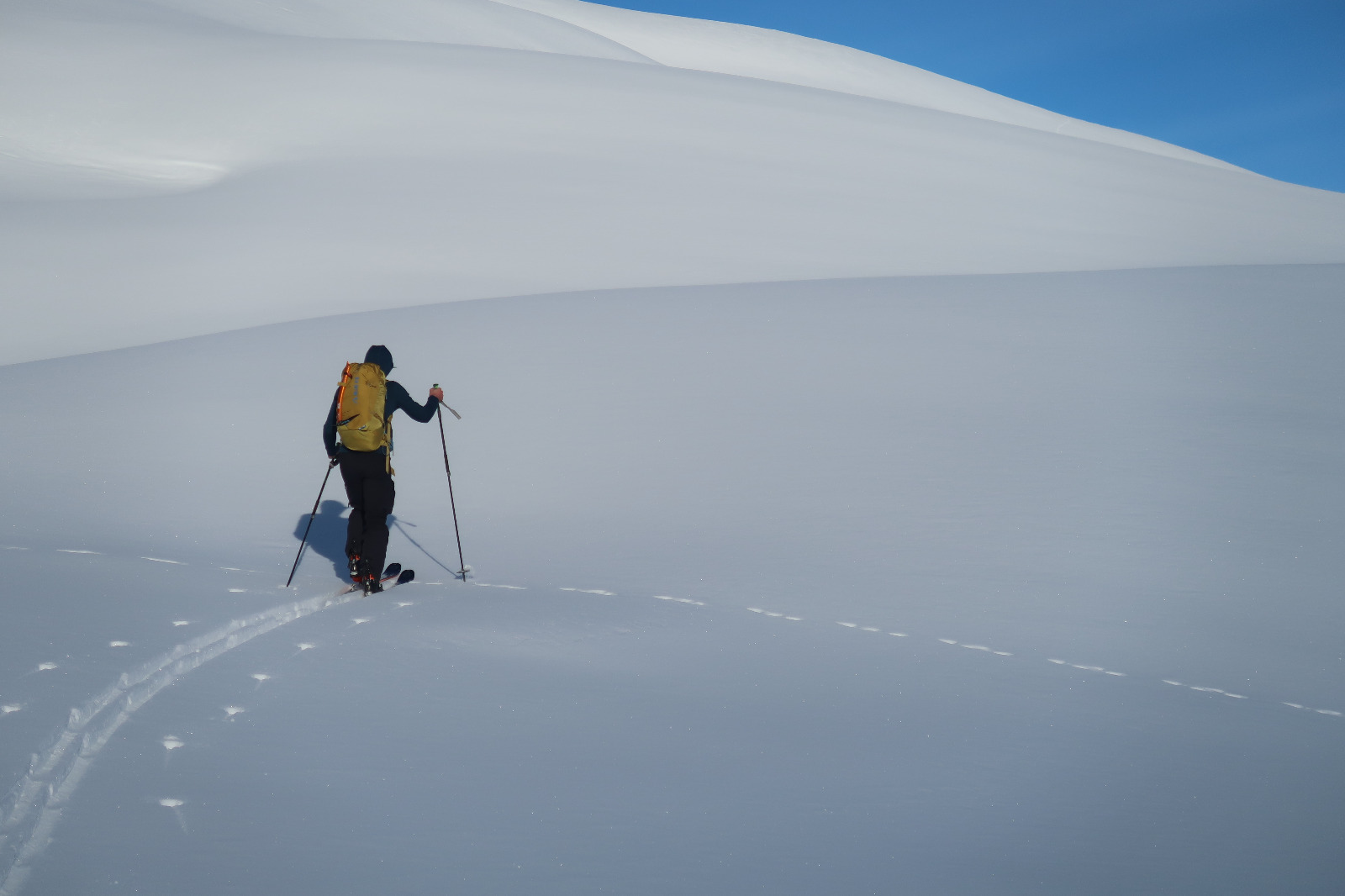 Activité splitboard